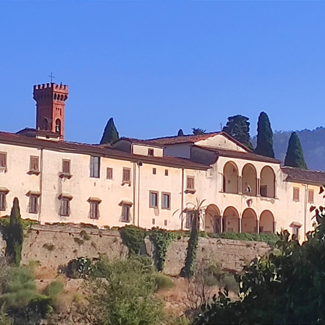 Colleviti